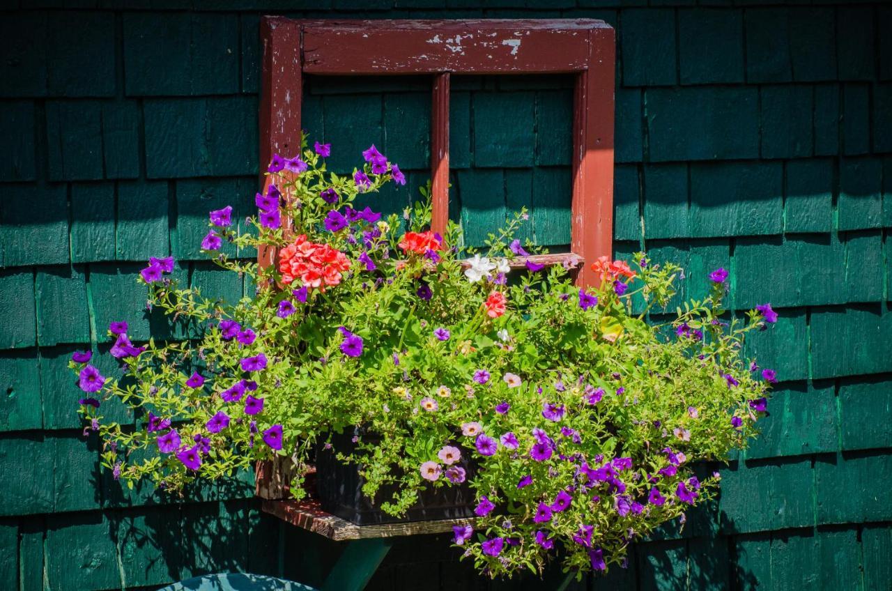 Bugaboo Cottages Summerside Εξωτερικό φωτογραφία
